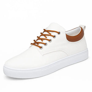 Elevio Shoes - ASCEND