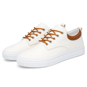 Elevio Shoes - ASCEND